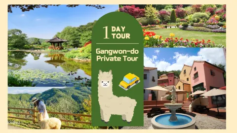 Gangwon-do Day Tour: Alpaca World, Nami Island, Gangchon Railbike, Petite France, Garden of Morning Calm & Samaksan Cable Car (Shared /Charter Tour) | South Korea