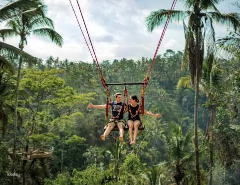 Ubud: Monkey Forest Sanctuary and Jungle Swing Private Tour | Bali, Indonesia