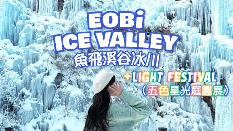 [Winter Only] Day Tour from Seoul: Eobi Ice Valley, The Garden of Morning Calm (Light Festival), Nami Island, Petite France & More | South Korea
