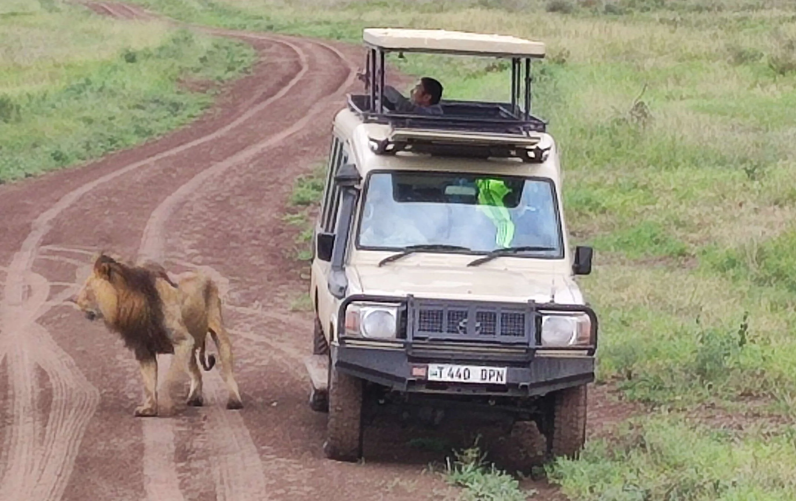 Ngorongoro Crater Day Trip from Arusha