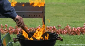 Bigfoot & Picnic COMBO