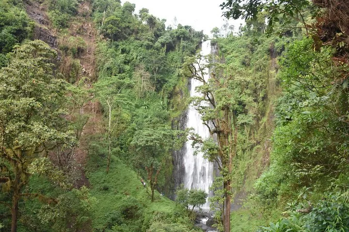 Full-Day Materuni Waterfall, Coffee and Hot-spring Tour in Moshi